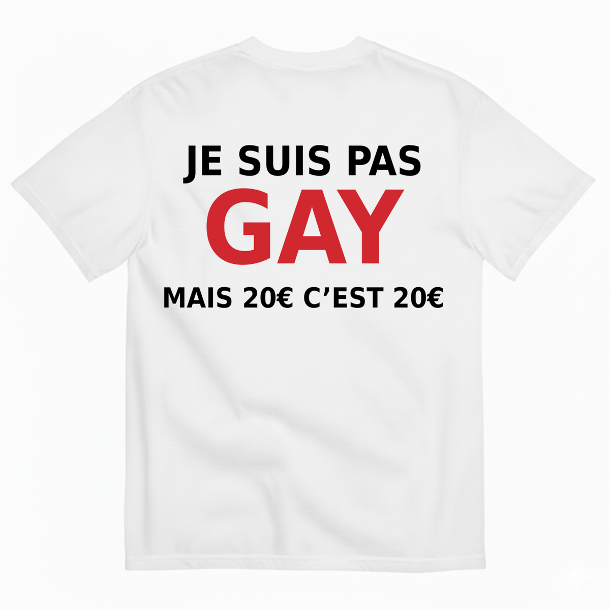 JE SUIS PAS GAY MAIS 20€ C’EST 20€ T-SHIRT (BACK PRINT)