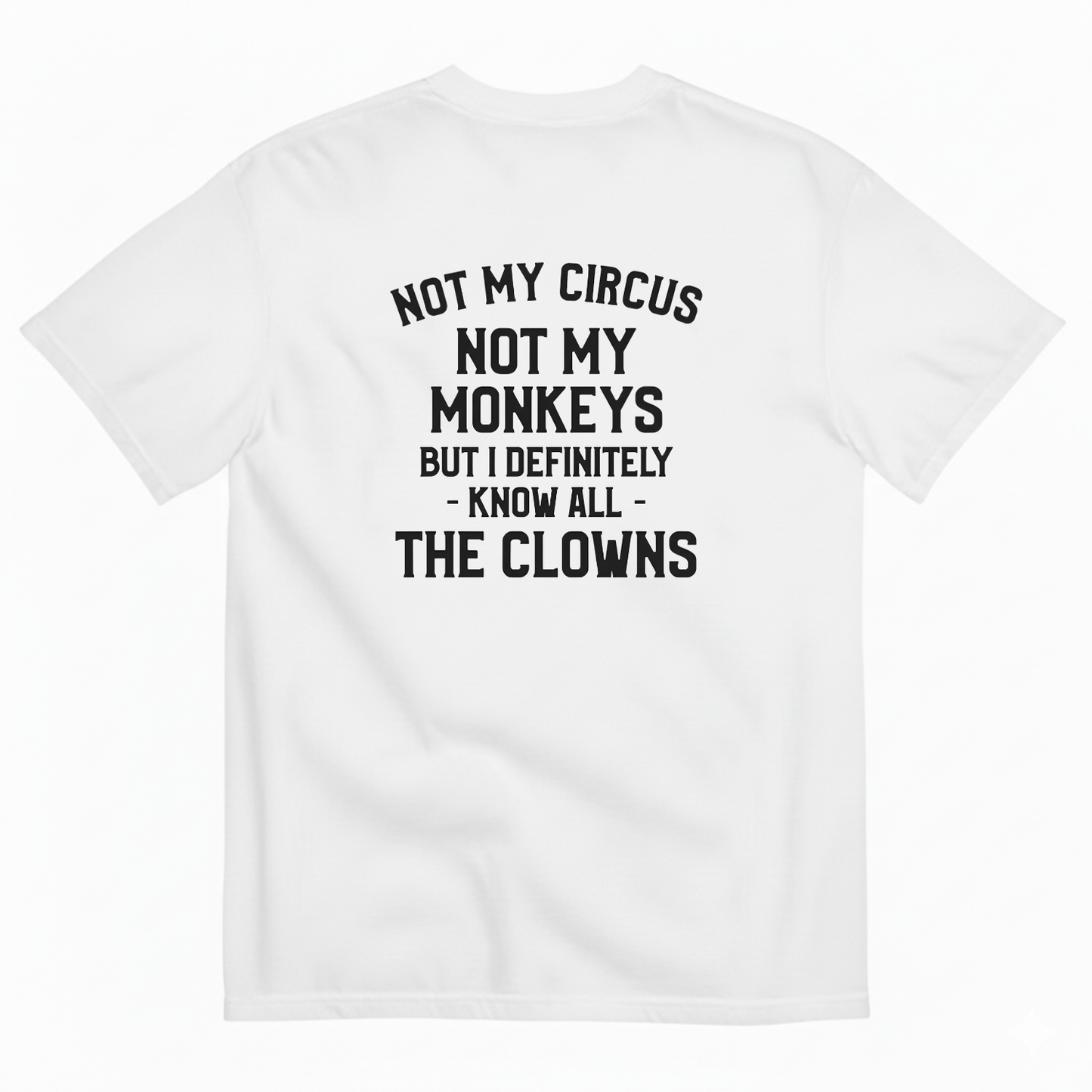 Not My Circus, Not My Monkeys T- SHIRT