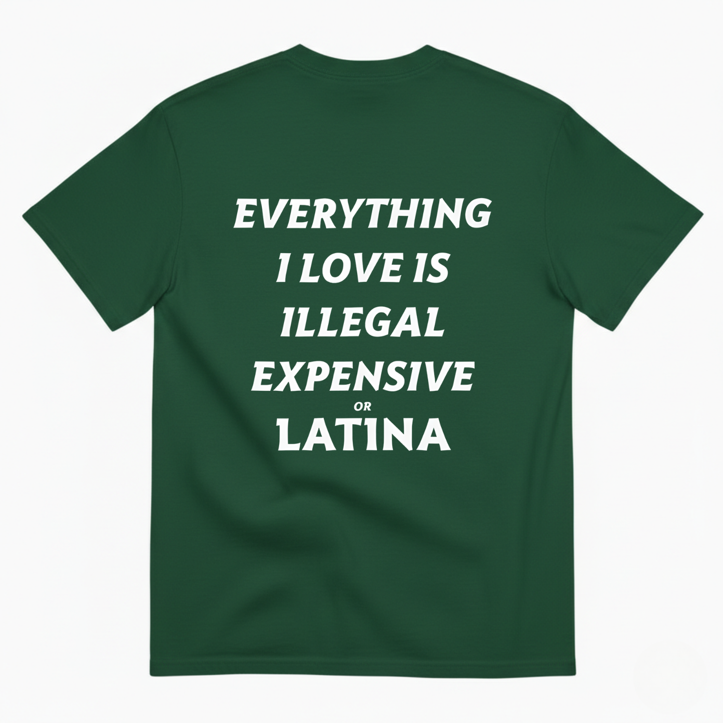 EVERYTHING I LOVE IS ILLEGAL EXPENSIVE OR LATINA T- SHIRT