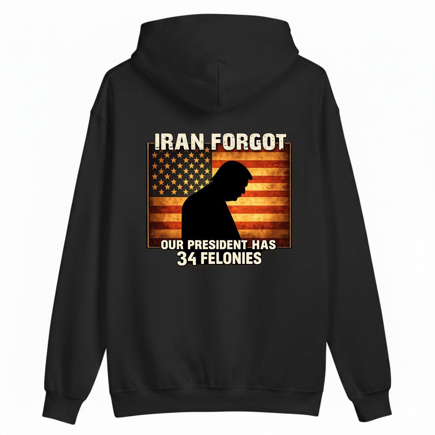 IRAN FORGOT OUR PRESIDENT HAS 34 FELONIES HOODIE (BACK PRINT)