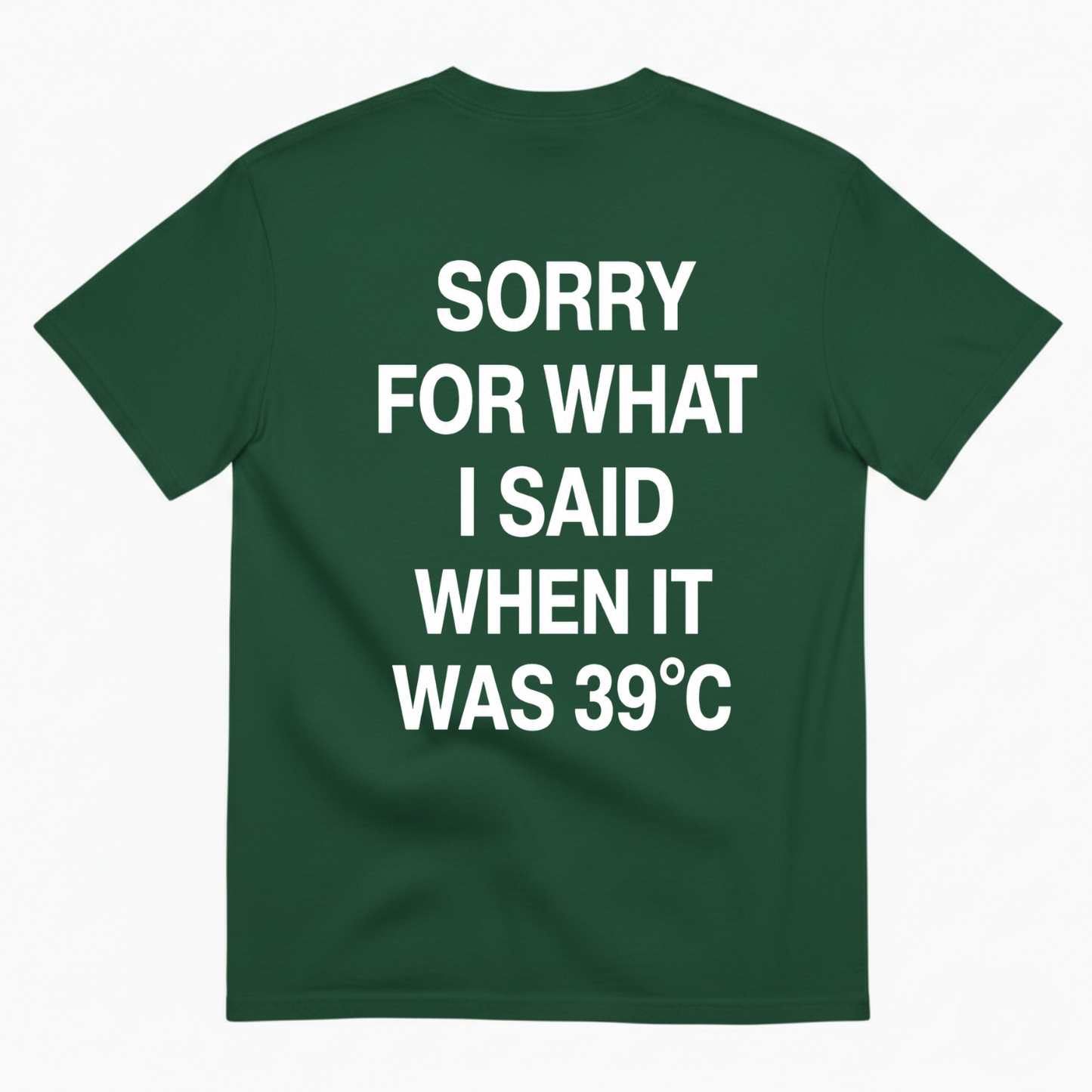 SORRY FOR WHAT I SAID WHEN IT WAS 39°C T-SHIRT (BACK PRINT)
