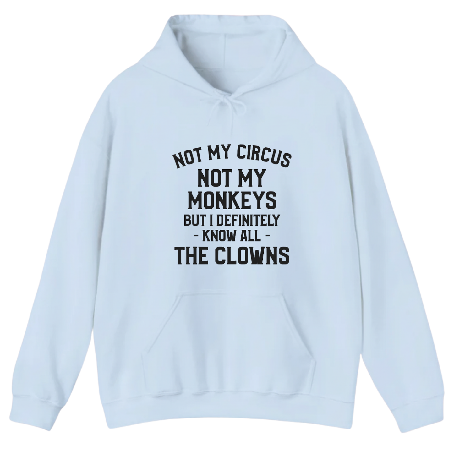 Not My Circus Not My Monkeys But I Definitely Know Nanny Hoodie (Front Print)