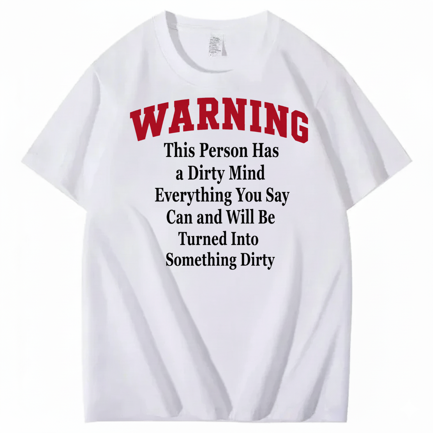 WARNING THIS PERSON HAS A DIRTY MIND EVERYTHING YOU SAY CAN AND WILL BE TURNED INTO SOMETHING DIRTY T-SHIRT (FRONT PRINT)