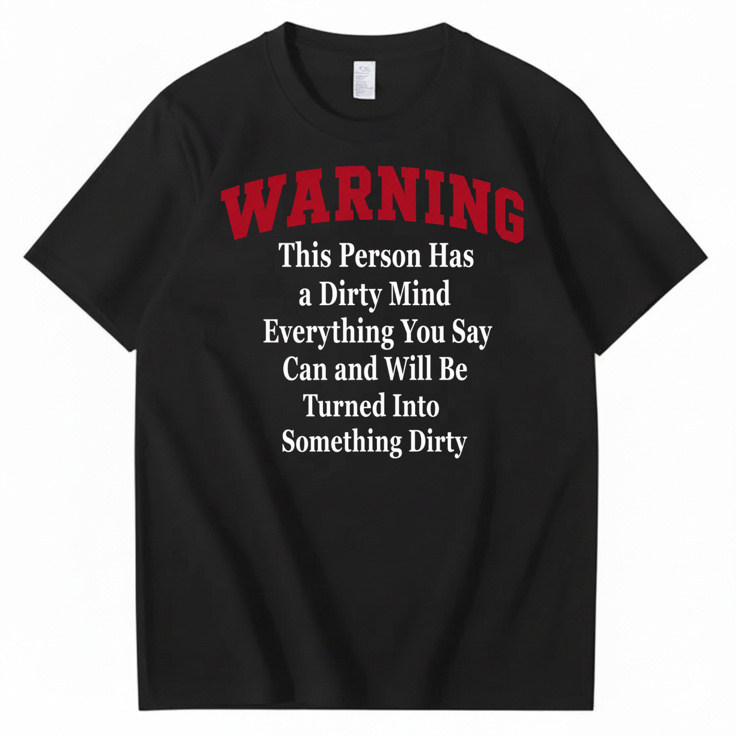 WARNING THIS PERSON HAS A DIRTY MIND EVERYTHING YOU SAY CAN AND WILL BE TURNED INTO SOMETHING DIRTY T-SHIRT (FRONT PRINT)