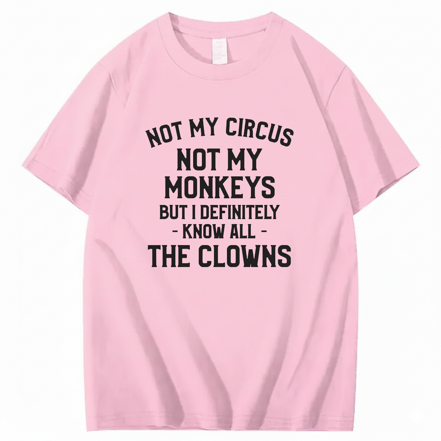 Not My Circus Not My Monkeys But I Definitely Know Nanny T-Shirt (Front Print)