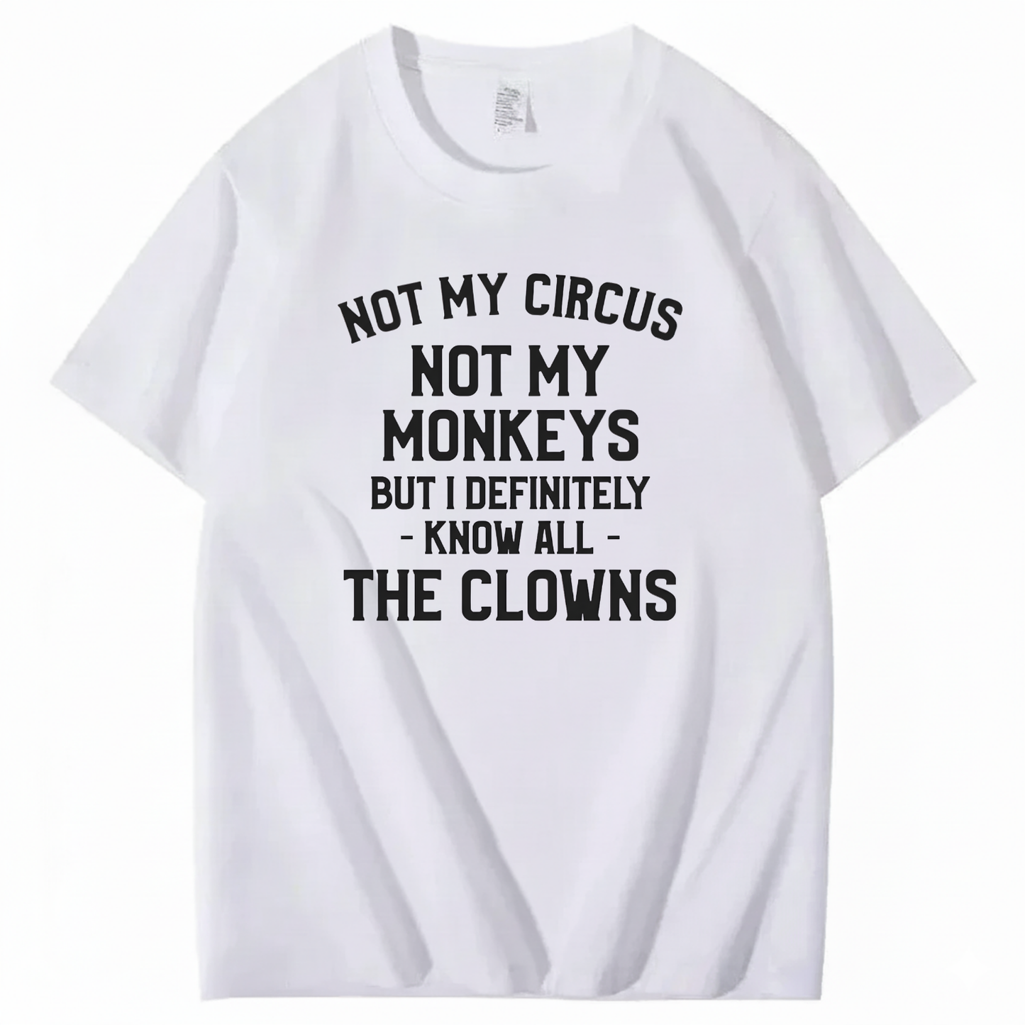 Not My Circus Not My Monkeys But I Definitely Know Nanny T-Shirt (Front Print)