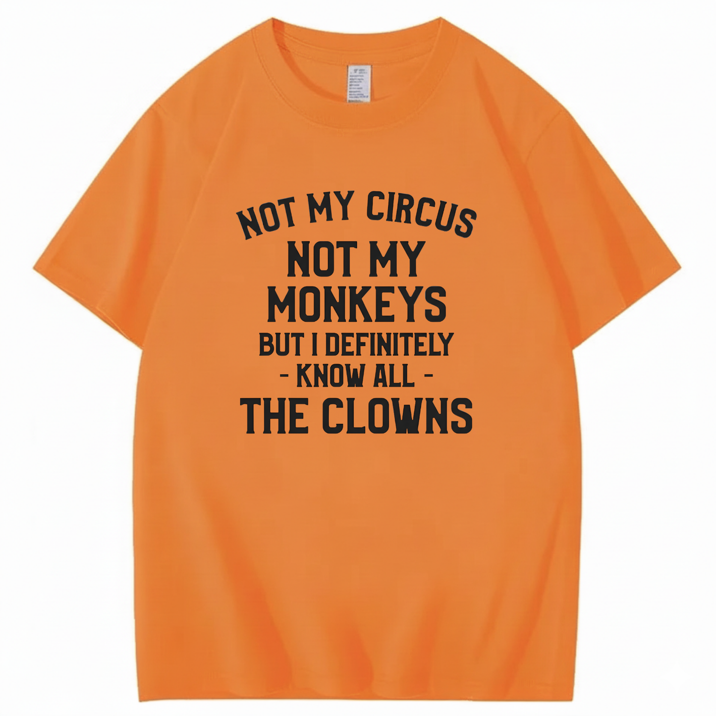 Not My Circus Not My Monkeys But I Definitely Know Nanny T-Shirt (Front Print)