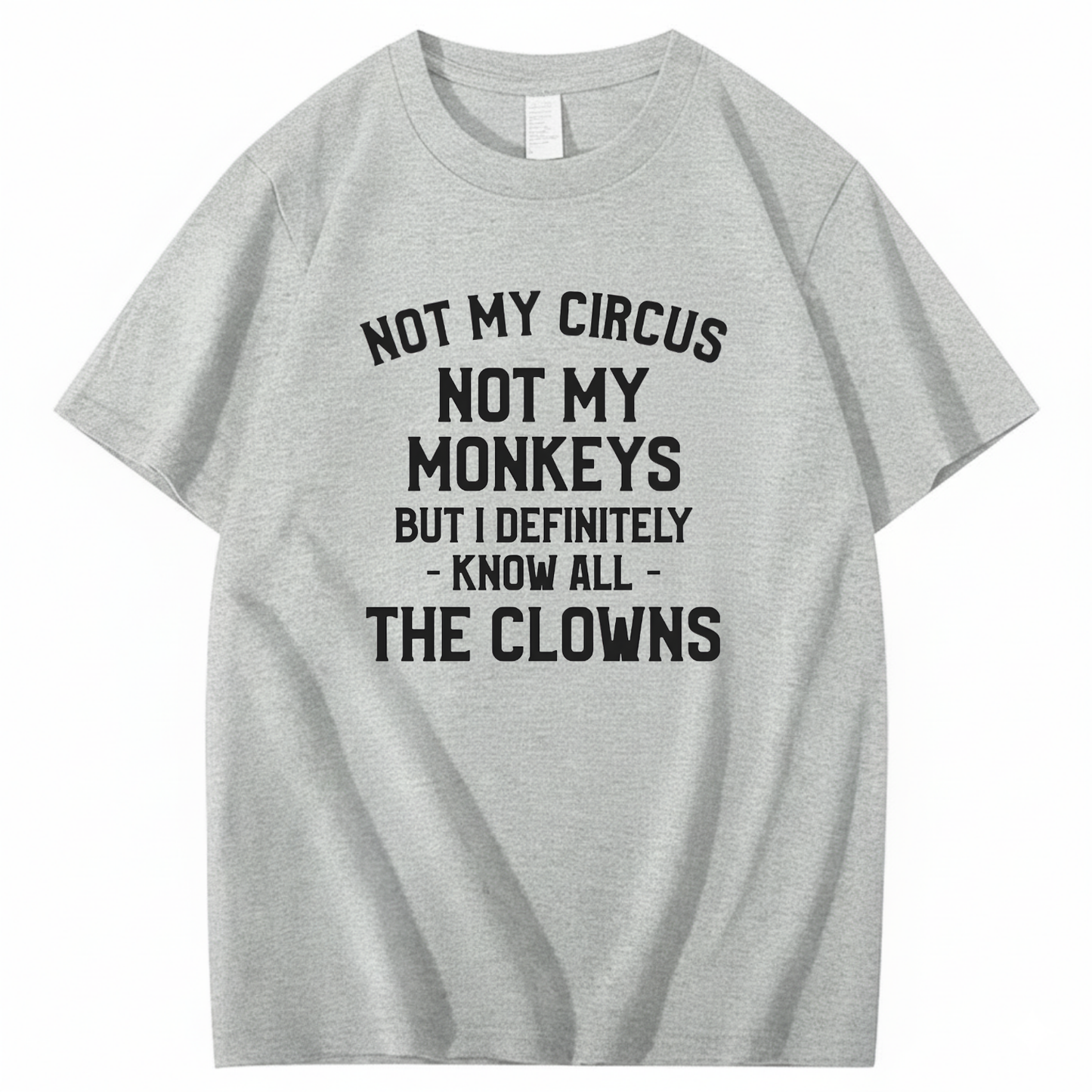Not My Circus Not My Monkeys But I Definitely Know Nanny T-Shirt (Front Print)