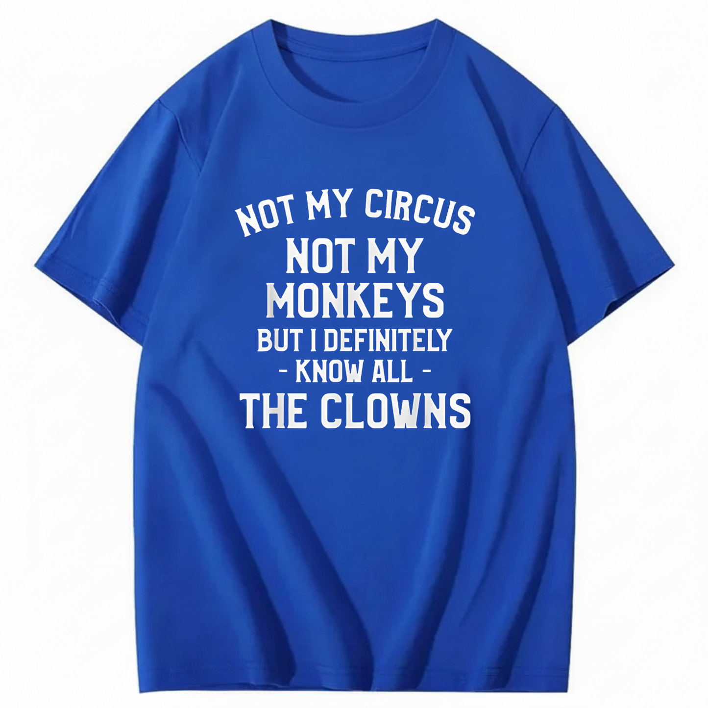 Not My Circus Not My Monkeys But I Definitely Know Nanny T-Shirt (Front Print)