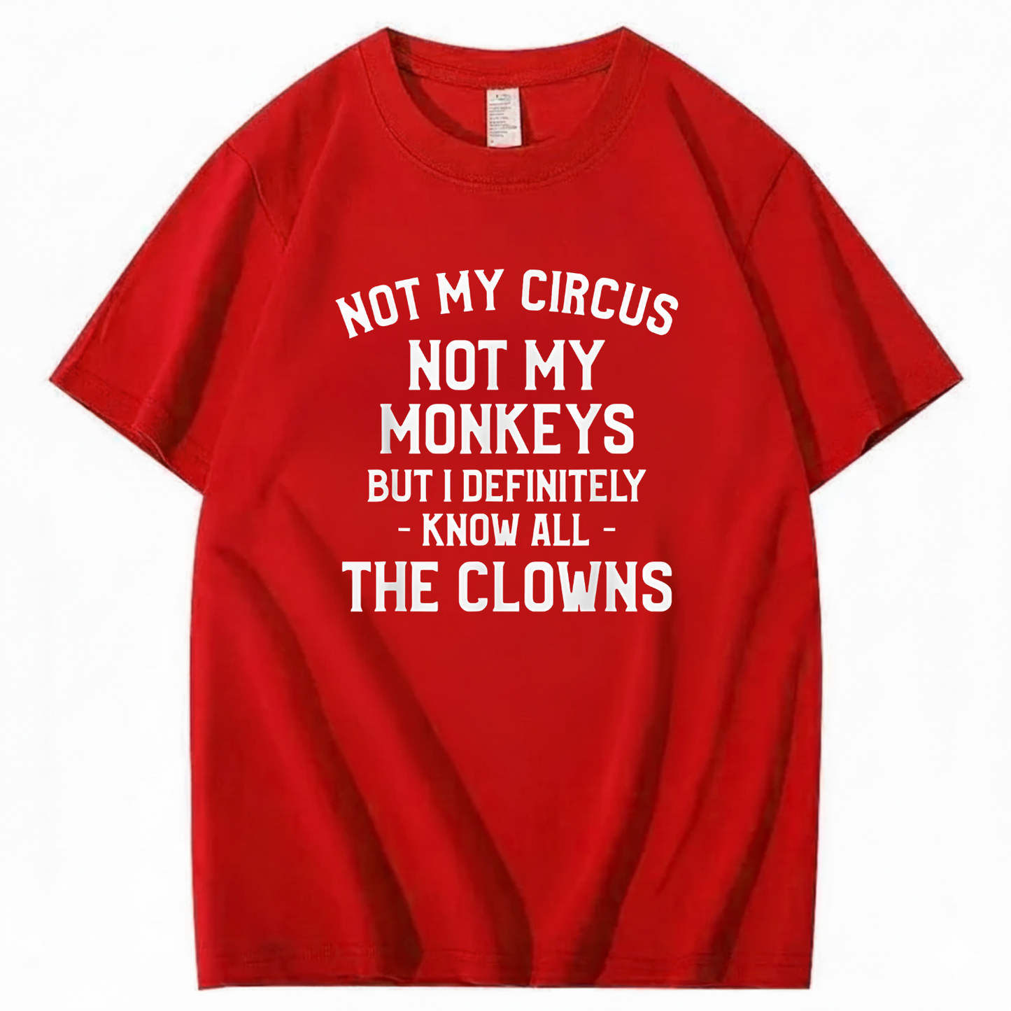 Not My Circus Not My Monkeys But I Definitely Know Nanny T-Shirt (Front Print)