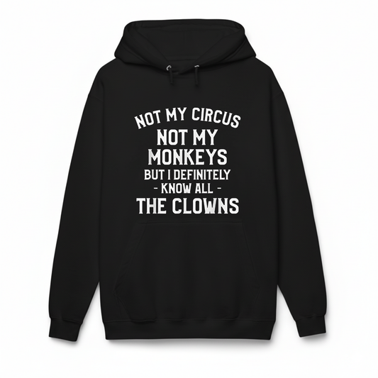 Not My Circus Not My Monkeys But I Definitely Know Nanny Hoodie