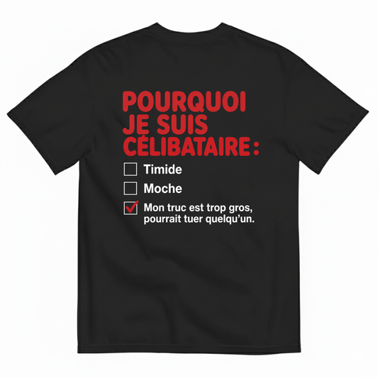 POURQUOI JE SUIS CÉLIBATAIRE T-SHIRT (BACK PRINT)