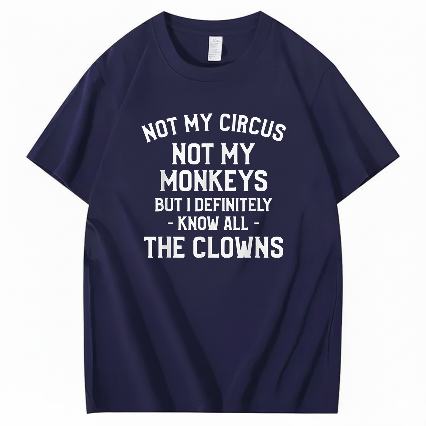 Not My Circus Not My Monkeys But I Definitely Know Nanny T-Shirt (Front Print)