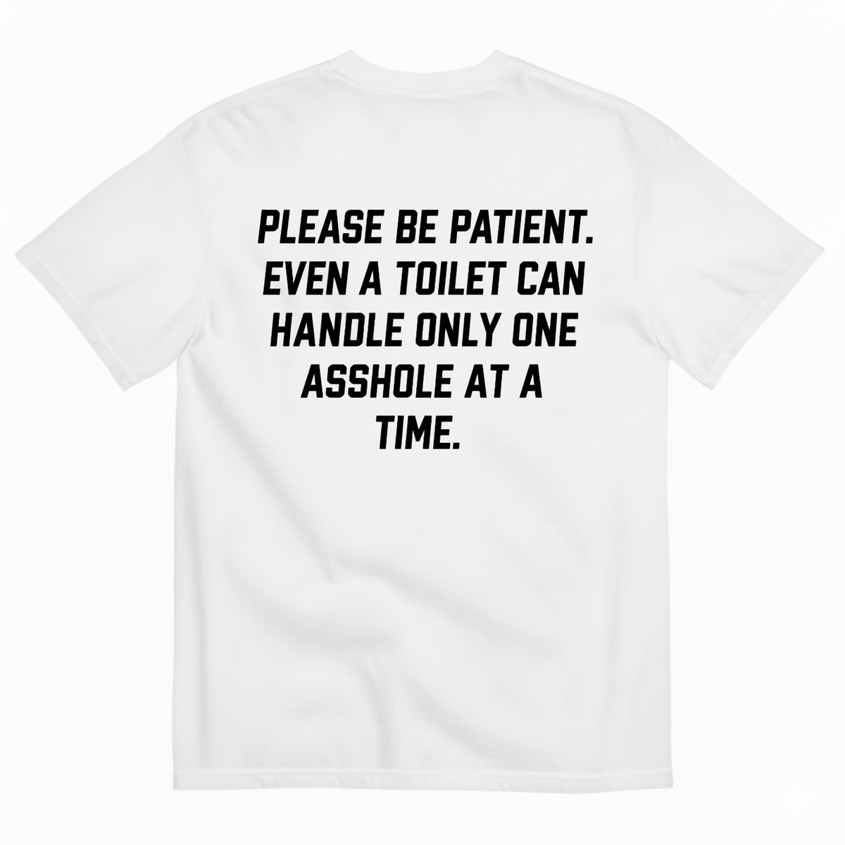PLEASE BE PATIENT EVEN A TOILET CAN HANDLE ONLY ONE ASSHOLE AT A TIME T-SHIRT (BACK PRINT)
