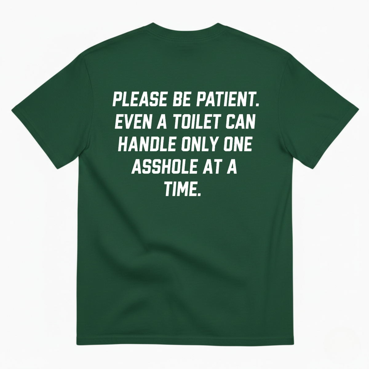PLEASE BE PATIENT EVEN A TOILET CAN HANDLE ONLY ONE ASSHOLE AT A TIME T-SHIRT (BACK PRINT)