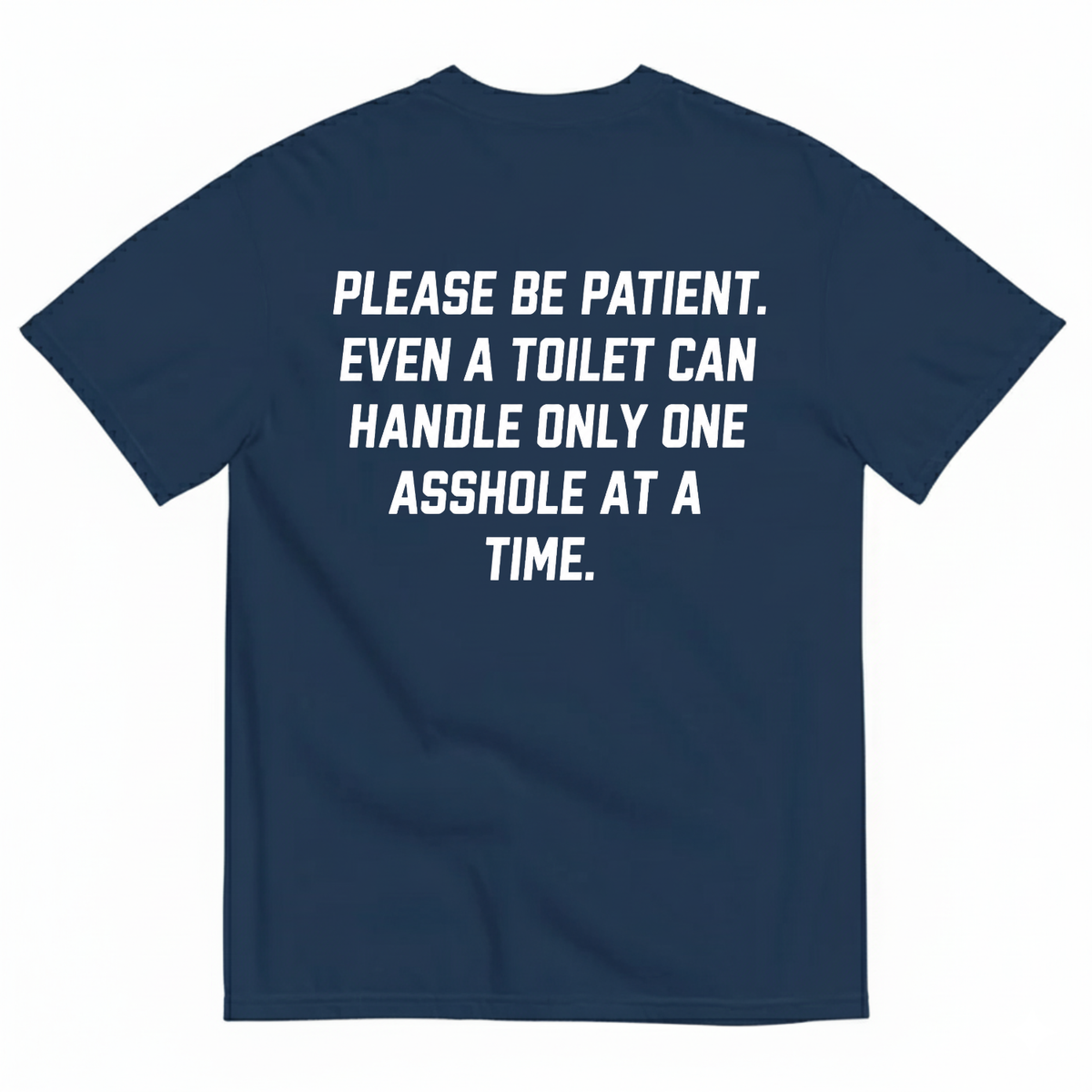 PLEASE BE PATIENT EVEN A TOILET CAN HANDLE ONLY ONE ASSHOLE AT A TIME T-SHIRT (BACK PRINT)