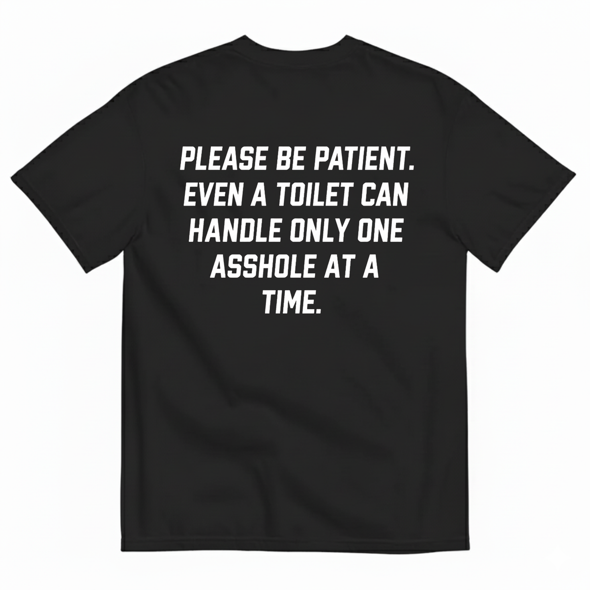 PLEASE BE PATIENT EVEN A TOILET CAN HANDLE ONLY ONE ASSHOLE AT A TIME T-SHIRT (BACK PRINT)