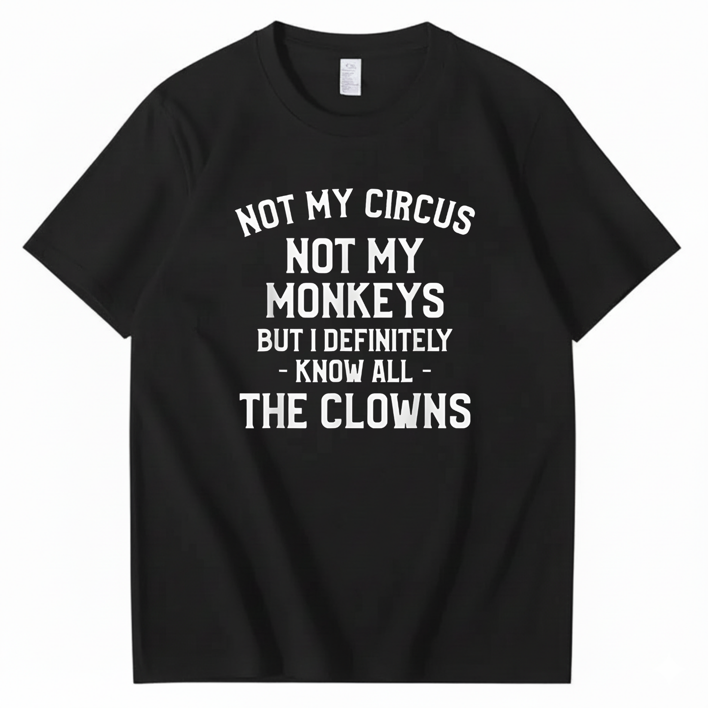 Not My Circus Not My Monkeys But I Definitely Know Nanny T-Shirt (Front Print)
