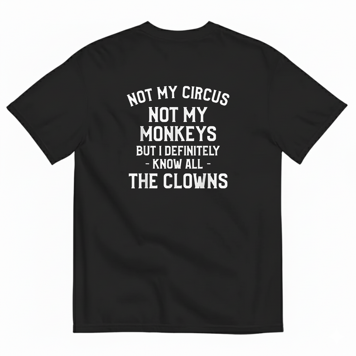 Not My Circus, Not My Monkeys T- SHIRT