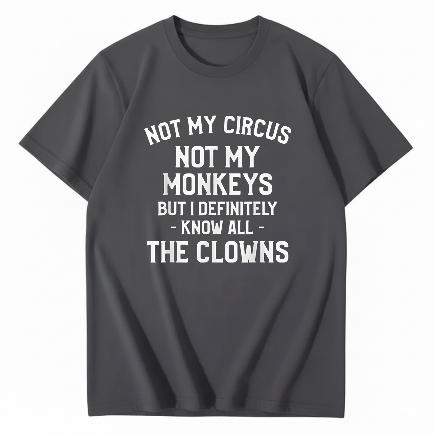 Not My Circus Not My Monkeys But I Definitely Know Nanny T-Shirt (Front Print)
