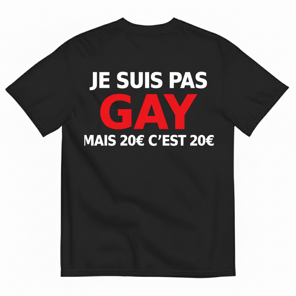 JE SUIS PAS GAY MAIS 20€ C’EST 20€ T-SHIRT (BACK PRINT)