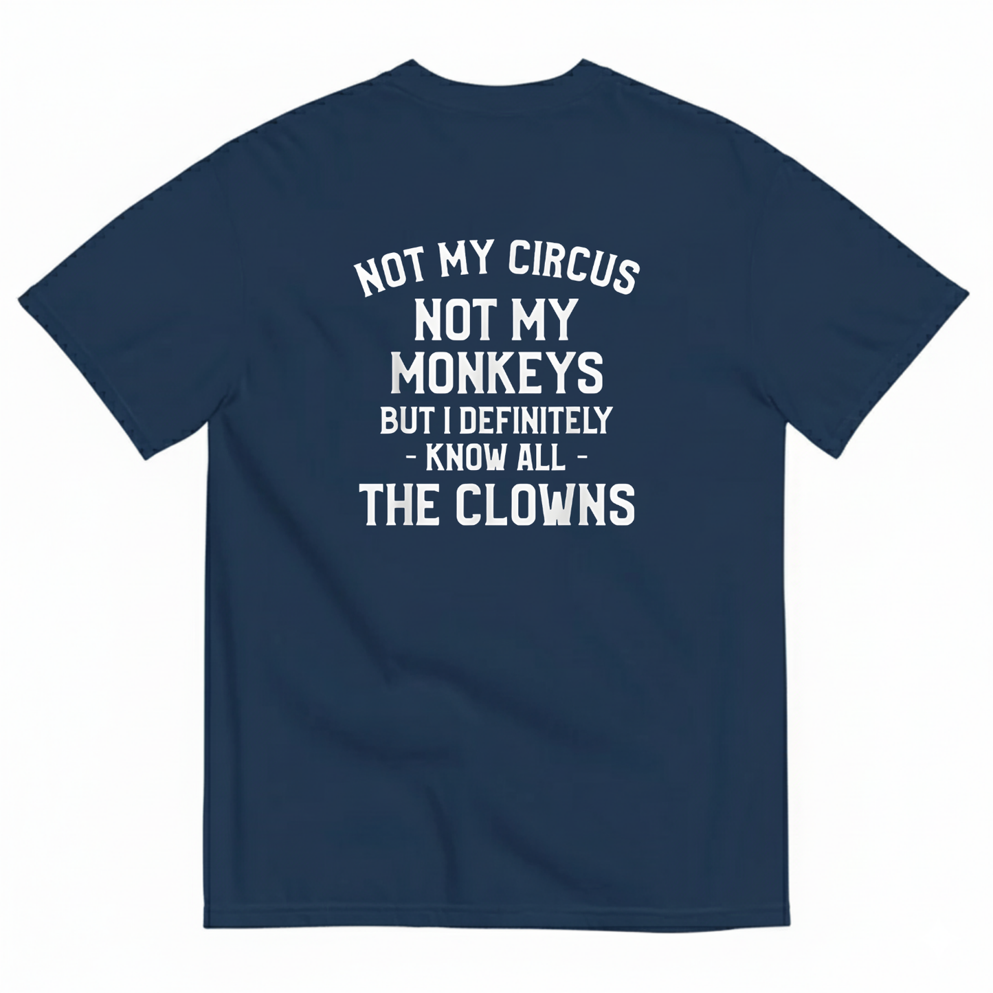Not My Circus, Not My Monkeys T- SHIRT