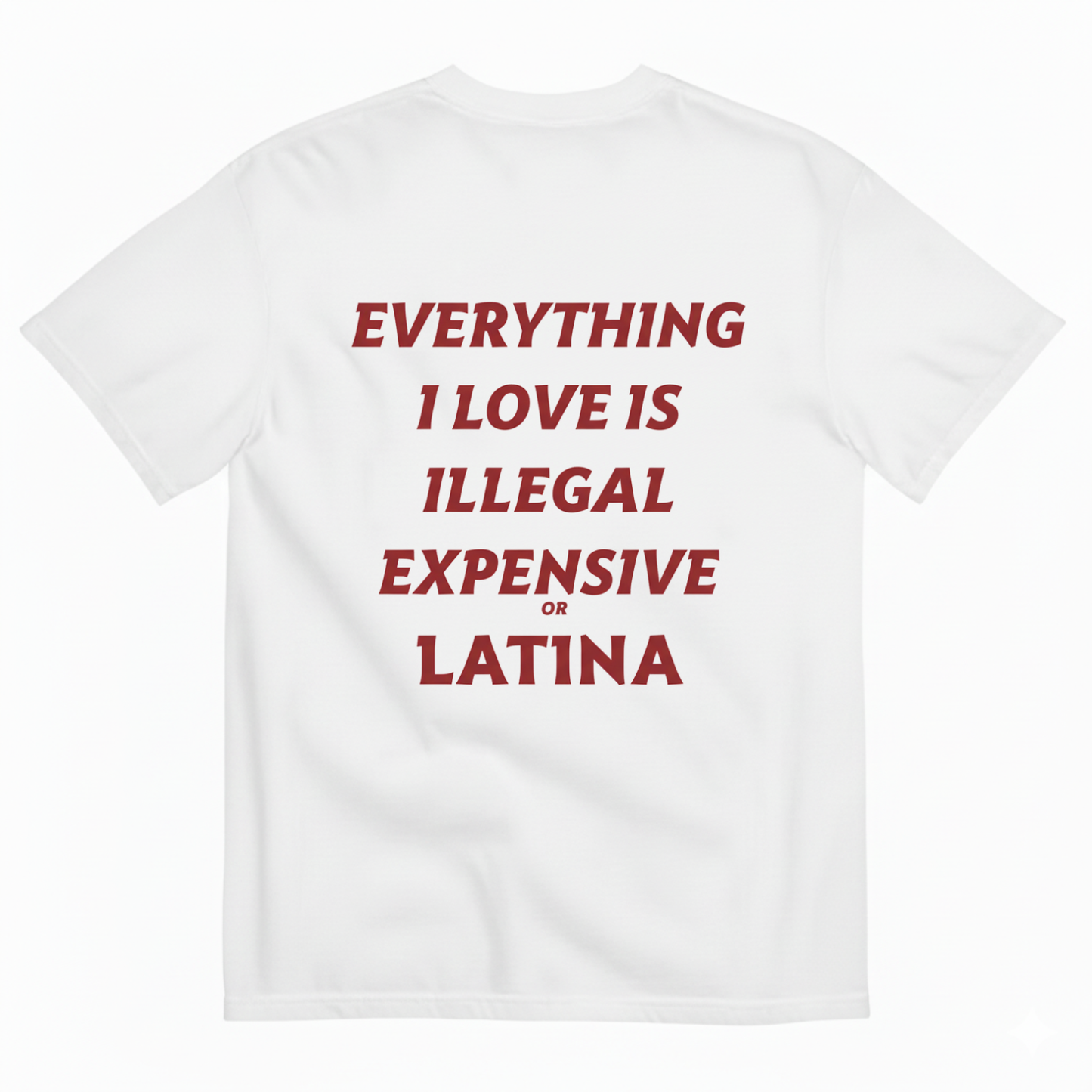 EVERYTHING I LOVE IS ILLEGAL EXPENSIVE OR LATINA T- SHIRT