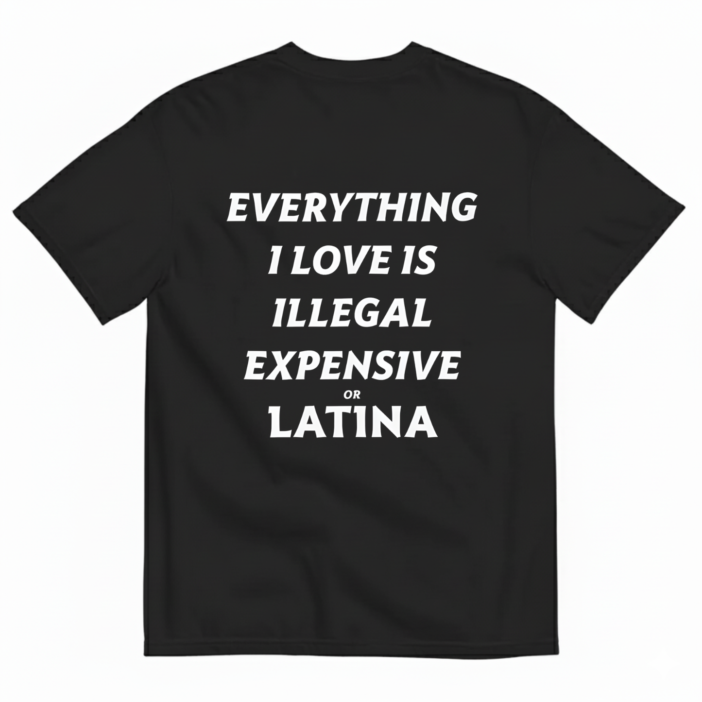 EVERYTHING I LOVE IS ILLEGAL EXPENSIVE OR LATINA T- SHIRT