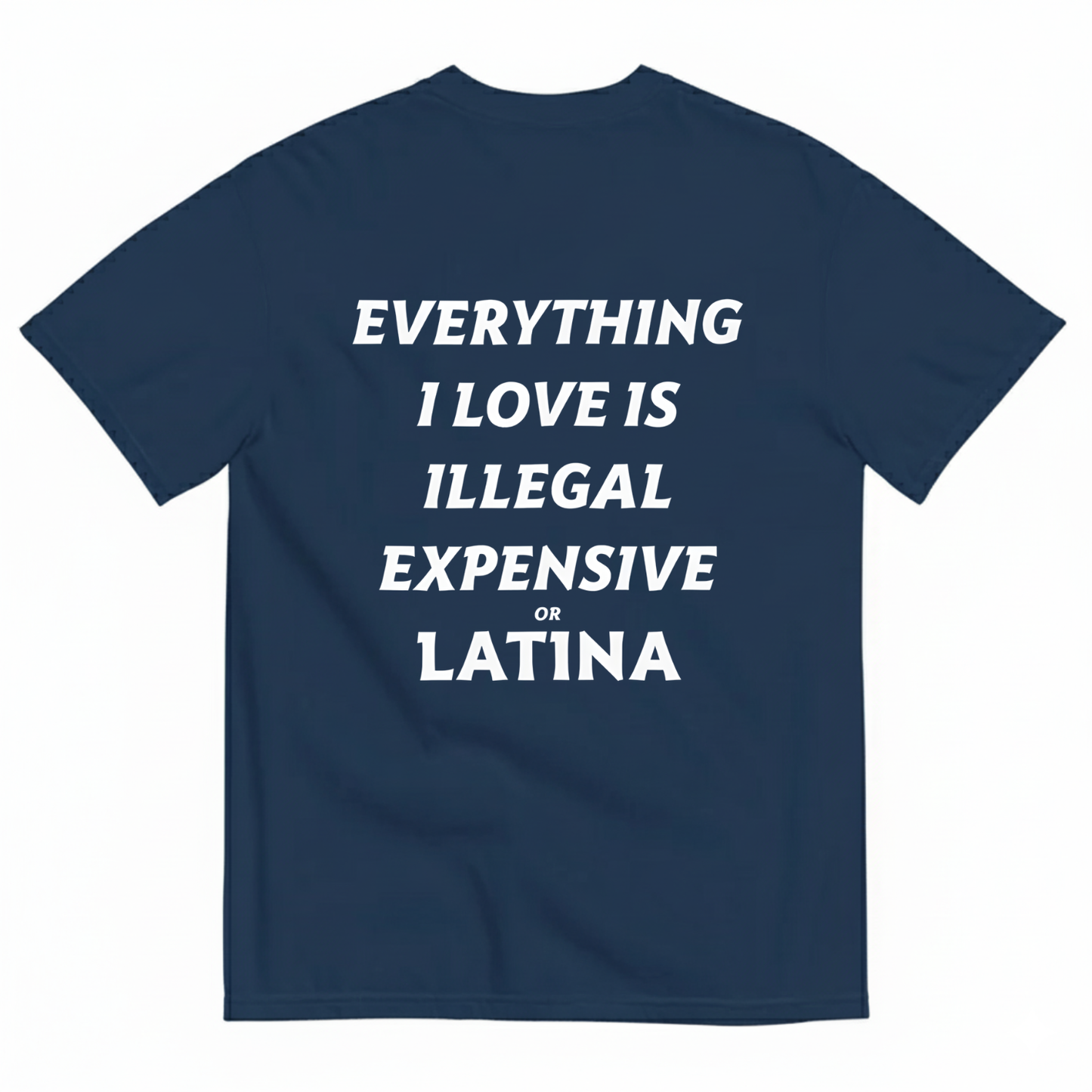 EVERYTHING I LOVE IS ILLEGAL EXPENSIVE OR LATINA T- SHIRT