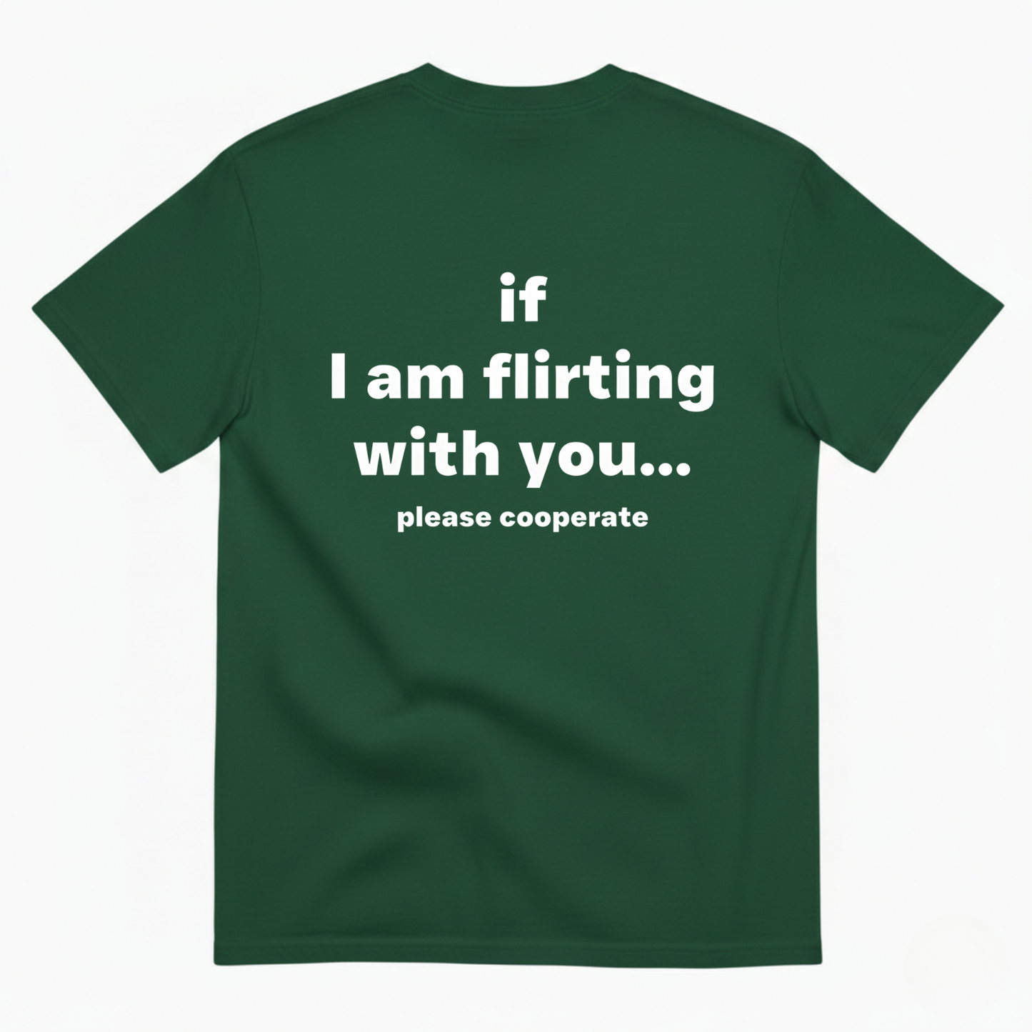 If I am flirting with you T- Shirt (Back Print)