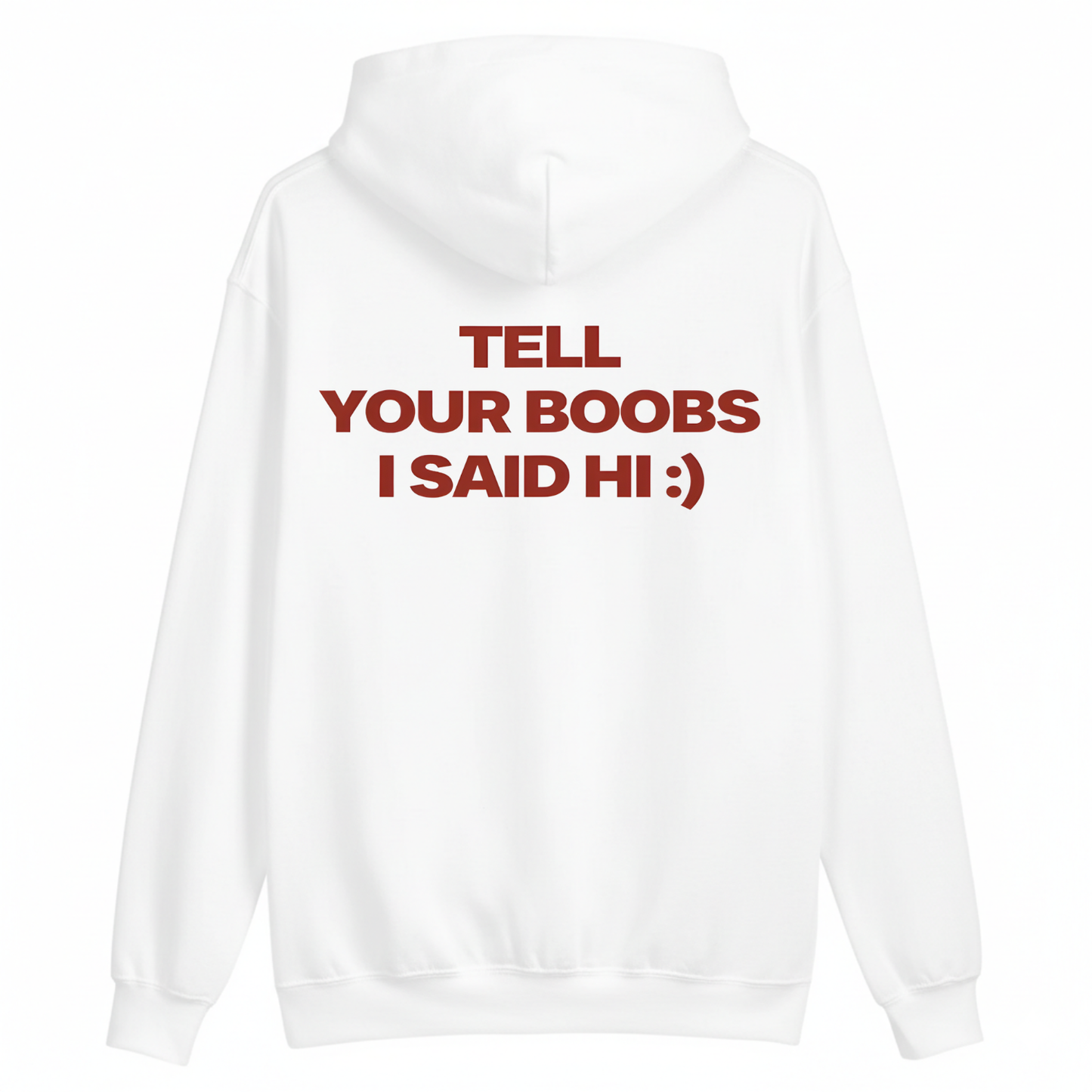 TELL YOUR BOOBS I SAID HI :) HOODIE