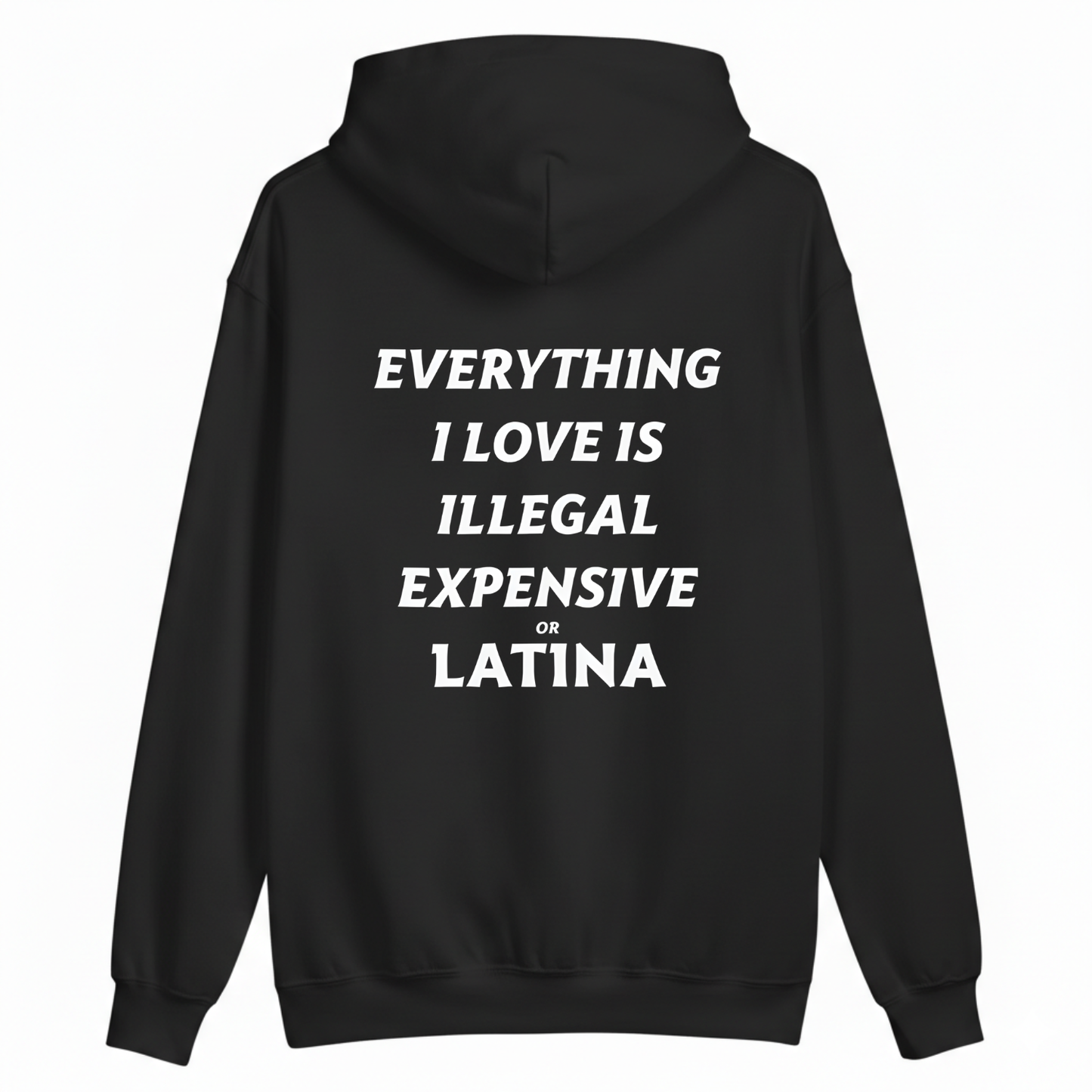EVERYTHING I LOVE IS ILLEGAL, EXPENSIVE, OR LATINA. HOODIE