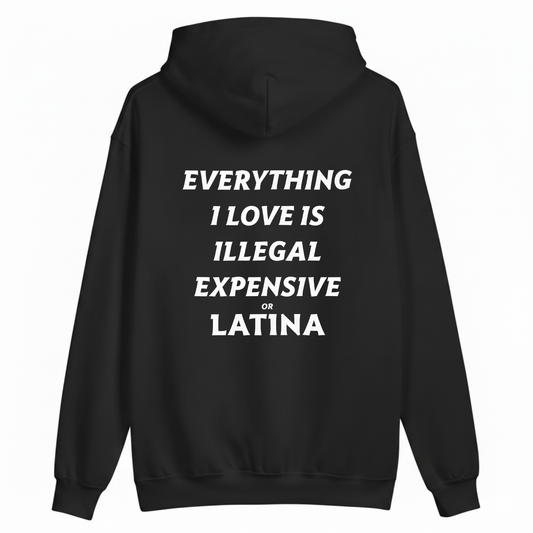 EVERYTHING I LOVE IS ILLEGAL, EXPENSIVE, OR LATINA. HOODIE