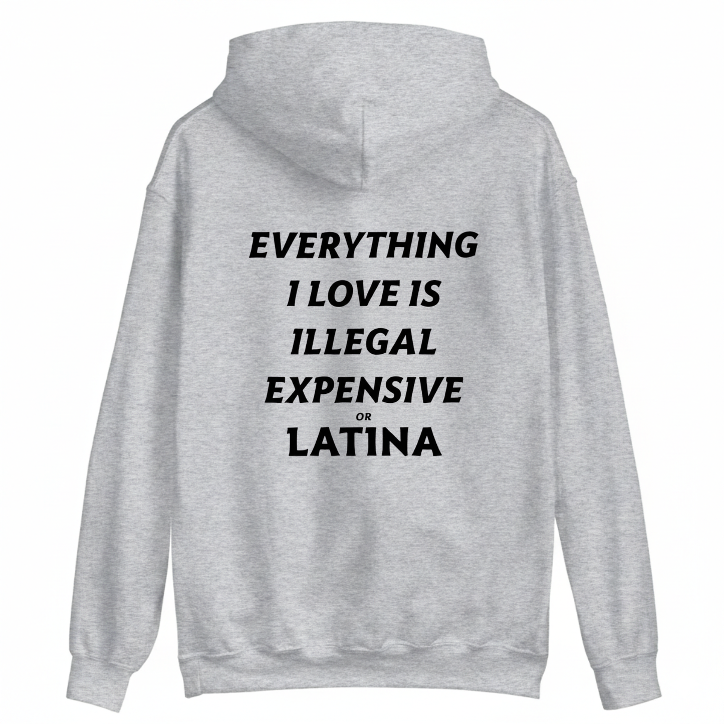 EVERYTHING I LOVE IS ILLEGAL, EXPENSIVE, OR LATINA. HOODIE