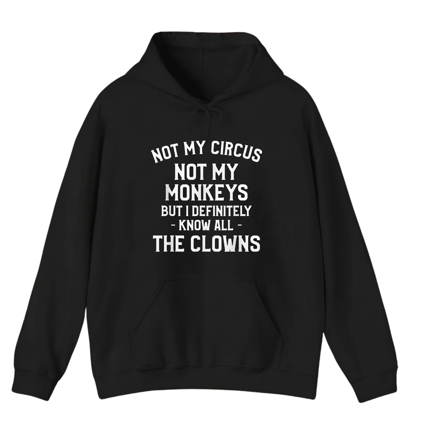 Not My Circus Not My Monkeys But I Definitely Know Nanny Hoodie (Front Print)