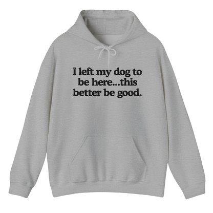 I left my dog to be here... this better good Hoodie