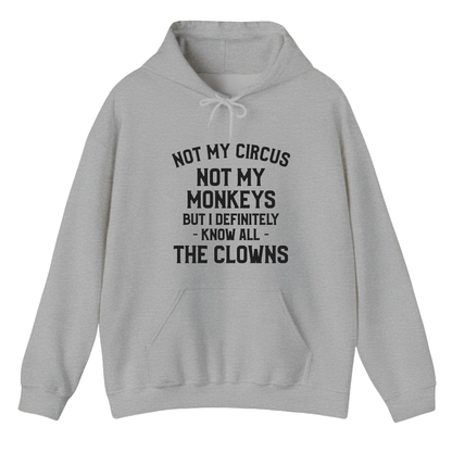 Not My Circus Not My Monkeys But I Definitely Know Nanny Hoodie (Front Print)