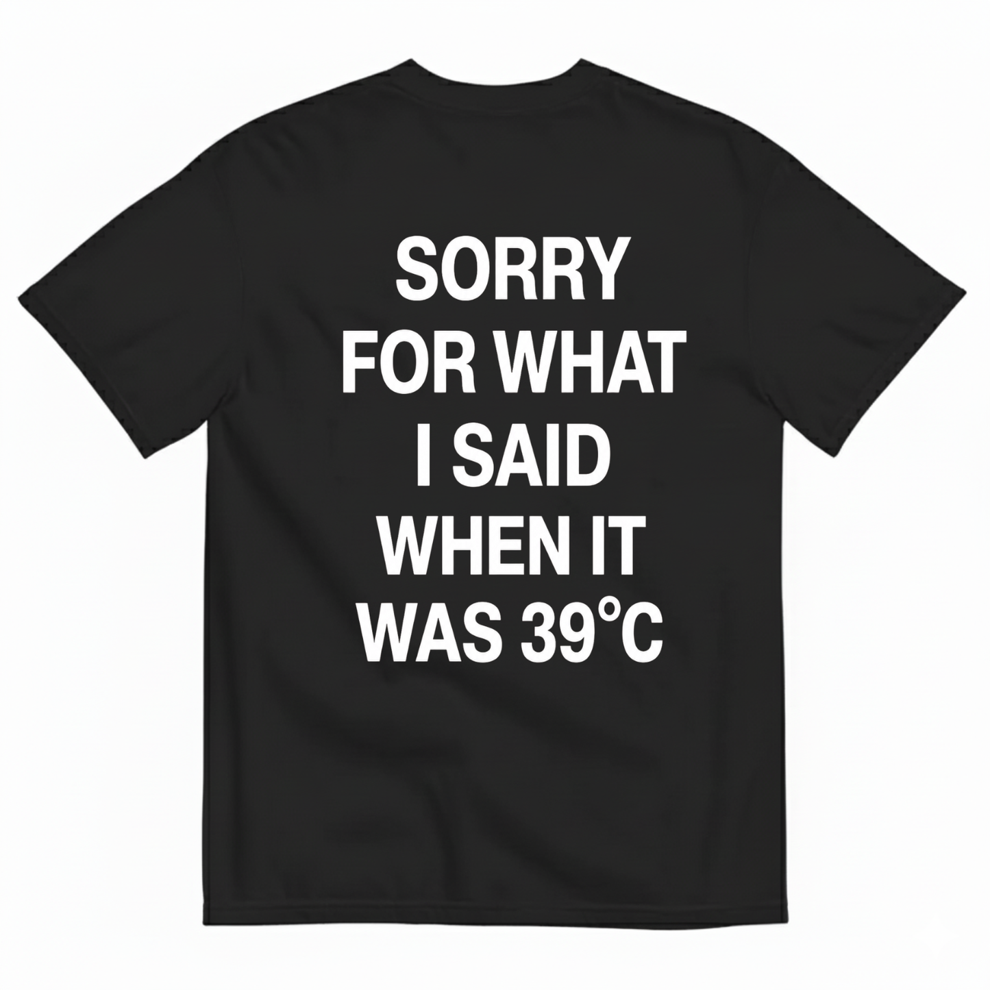 SORRY FOR WHAT I SAID WHEN IT WAS 39°C T-SHIRT (BACK PRINT)