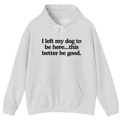 I left my dog to be here... this better good Hoodie
