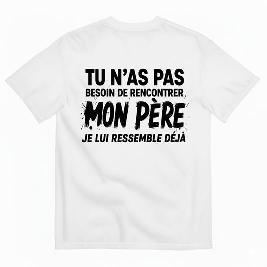 TU N’AS PAS BESOIN DE RENCONTRER MON PÈRE JE LUI RESSEMBLE DÉJÀ T-SHIRT (BACK PRINT)