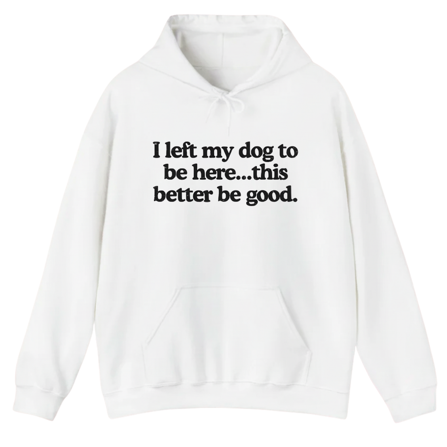 I left my dog to be here... this better good Hoodie