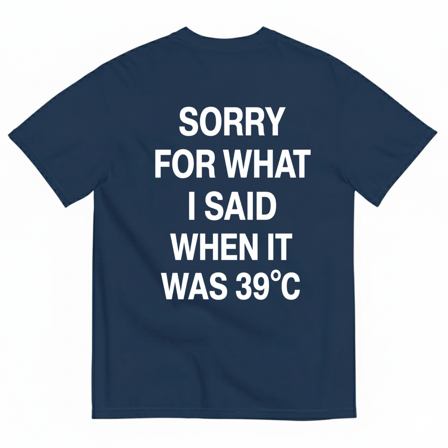 SORRY FOR WHAT I SAID WHEN IT WAS 39°C T-SHIRT (BACK PRINT)