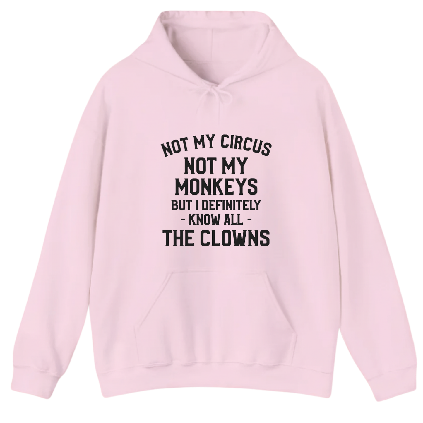 Not My Circus Not My Monkeys But I Definitely Know Nanny Hoodie (Front Print)