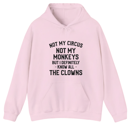 Not My Circus Not My Monkeys But I Definitely Know Nanny Hoodie (Front Print)
