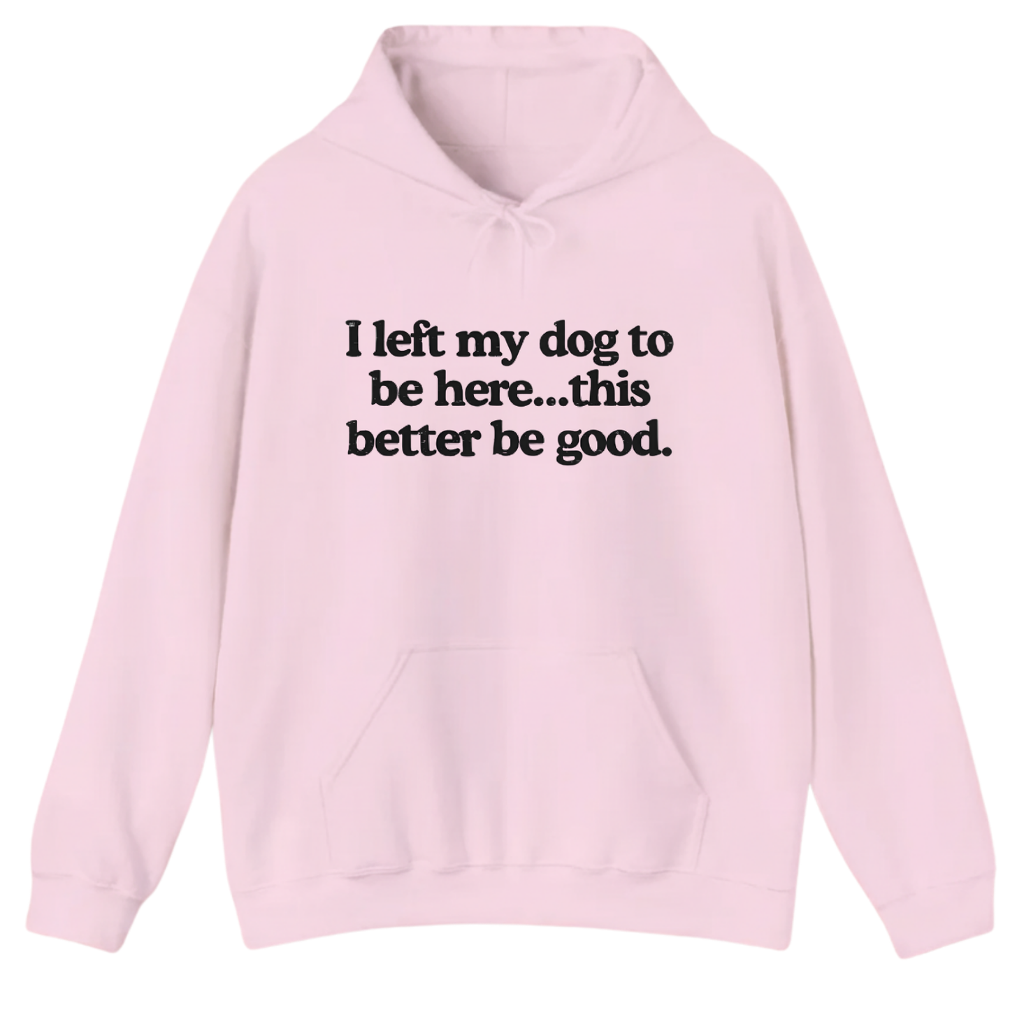 I left my dog to be here... this better good Hoodie