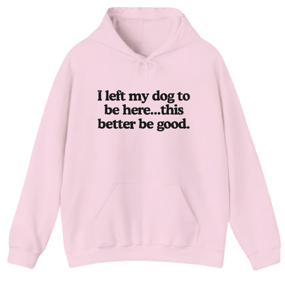I left my dog to be here... this better good Hoodie