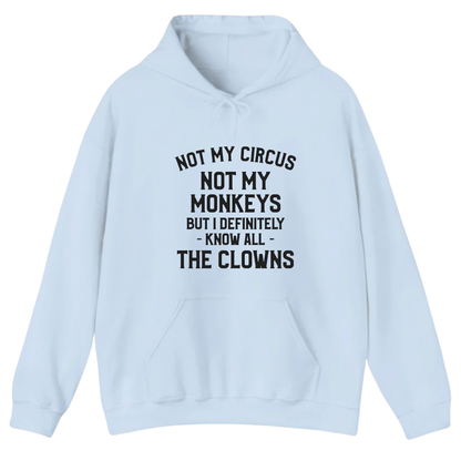 Not My Circus Not My Monkeys But I Definitely Know Nanny Hoodie (Front Print)