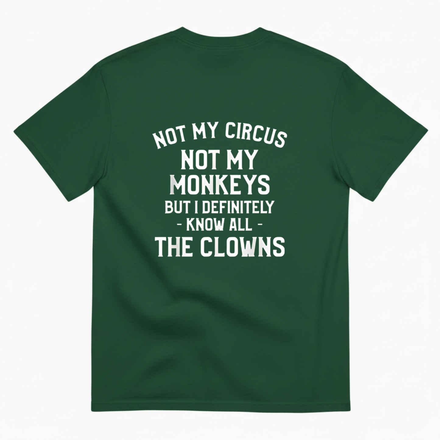 Not My Circus, Not My Monkeys T- SHIRT