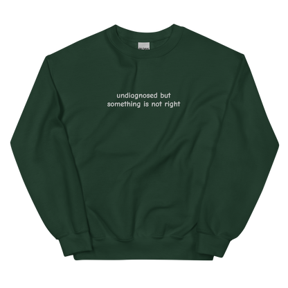 UNDIAGNOSED BUT SOMETHING IS NOT RIGHT SWEATSHIRT (FRONT EMBROIDERY)