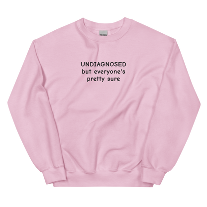 UNDIAGNOSED BUT EVERYONE’S PRETTY SURE SWEATSHIRT (FRONT EMBROIDERY)